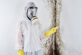 Best Basement Mold Removal in Gman, IL